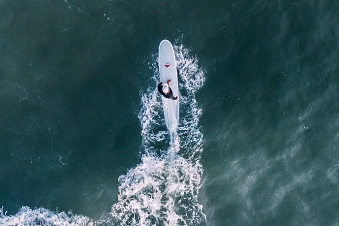 Aerial view of person surfing on a longboard in the ocean.