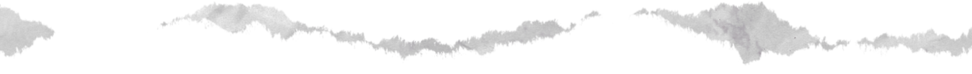 Artistic jagged line in green and gray on a white background.